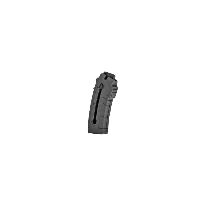 Rossi 358001800 RS22W10rd 22 WMR Black Polymer