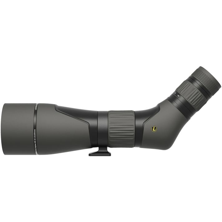 Leupold 180144 SX-2 Alpine 20-60x80mm Shadow Gray Angled Body