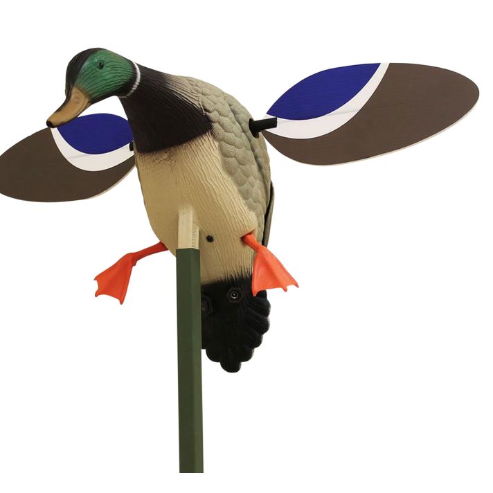 Mojo Outdoors HW4401 Baby Mojo Drake Mallard Species Multi Color Synthetic