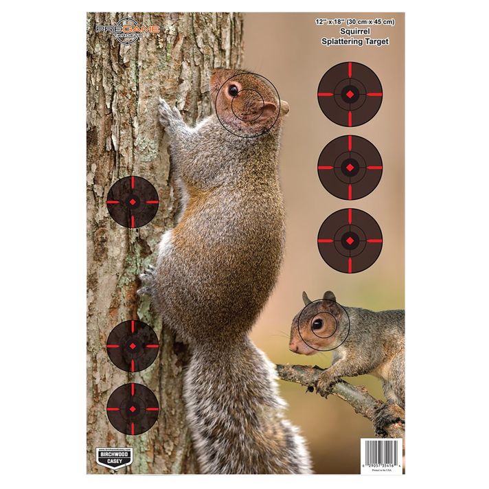 Birchwood Casey 35406 PregameSquirrel Paper Hanging Rifle 12" x 18" Impact Enhancement 8 Per Pkg
