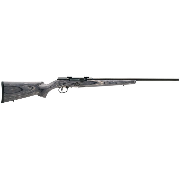 Savage Arms 47801 A17 Sporter Full Size 17 WSM 8+1 22" High Luster Button Rifled Barrel, High Luster Drilled & Tapped Carbon Steel Receiver, Matte Gray Fixed Laminate Stock, Right Hand