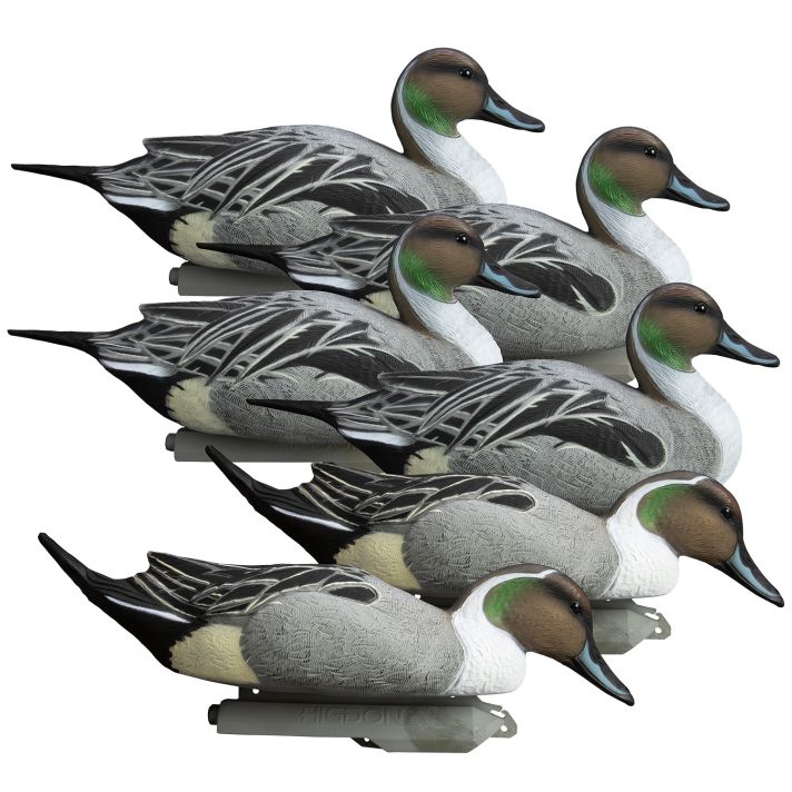 Higdon Outdoors 16544 Battleship Pintail Pintail Species Multi Color Foam Filled 6 Pack
