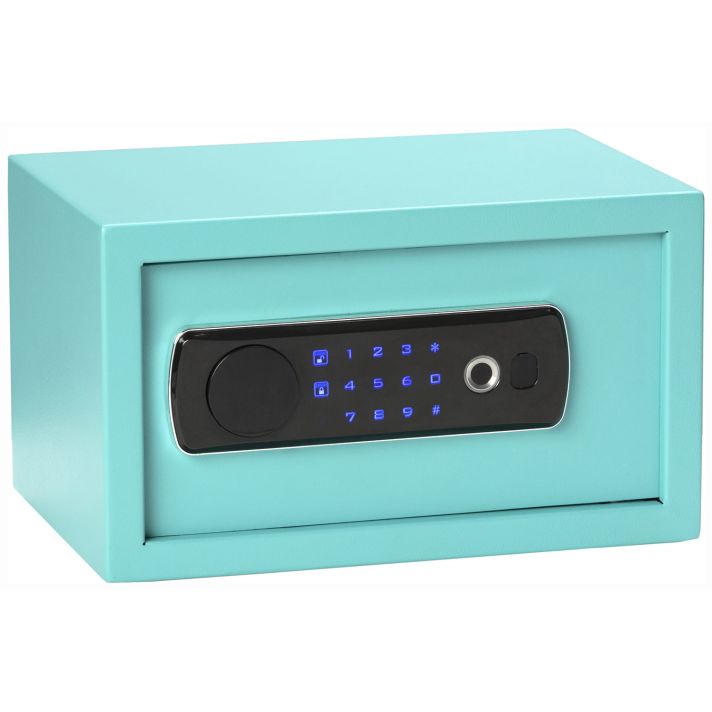 Bulldog BD5012 DuoDigital Keypad/Biometric/Key Entry Teal Powder Coated Steel Holds 1 Handgun LED Keypad
