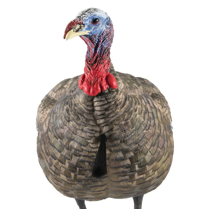 Avian X AVXAVX8003 LCD Quarter-Strut Jake Turkey Species Multi Color Dura-Rubber