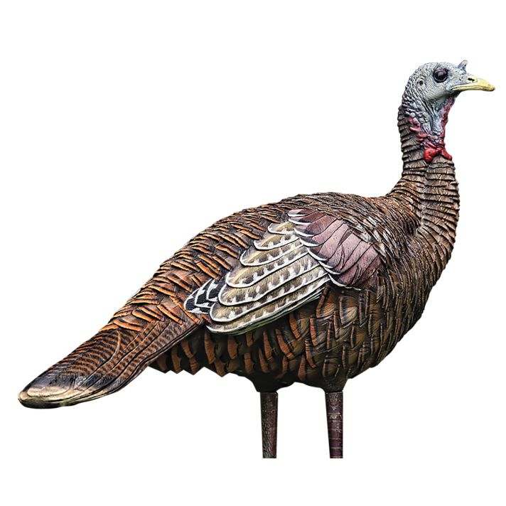 Avian X AVXAVX8006 LCD Lookout Hen Turkey Species Multi Color Dura-Rubber