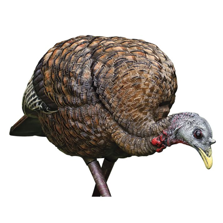 Avian X AVXAVX8007 LCD Feeder Hen Turkey Species Multi Color Dura-Rubber