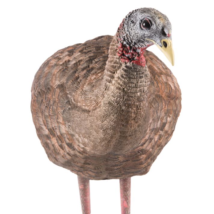 Avian X AVXAVX8008 LCD Breeder Hen Turkey Species Multi Color Dura-Rubber