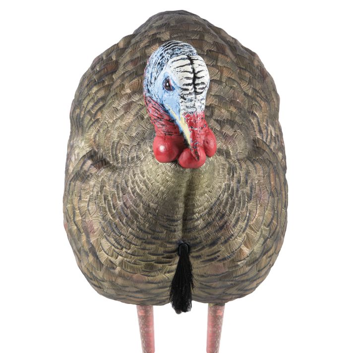 Avian X AVXAVX8012 LCD Half-Strut Jake Turkey Species Multi Color Dura-Rubber