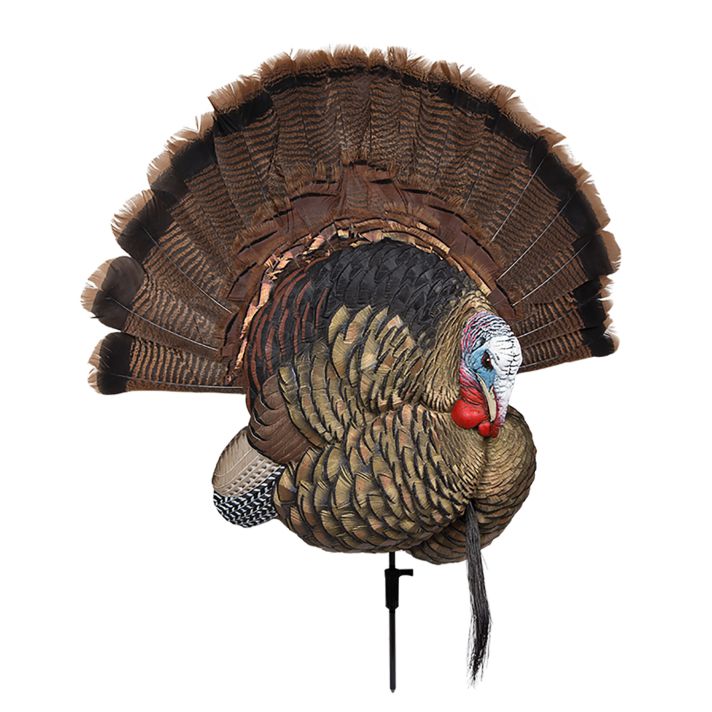 Avian X AVXAVX8021 Trophy TomTurkey Species Multi-Color *No Fan