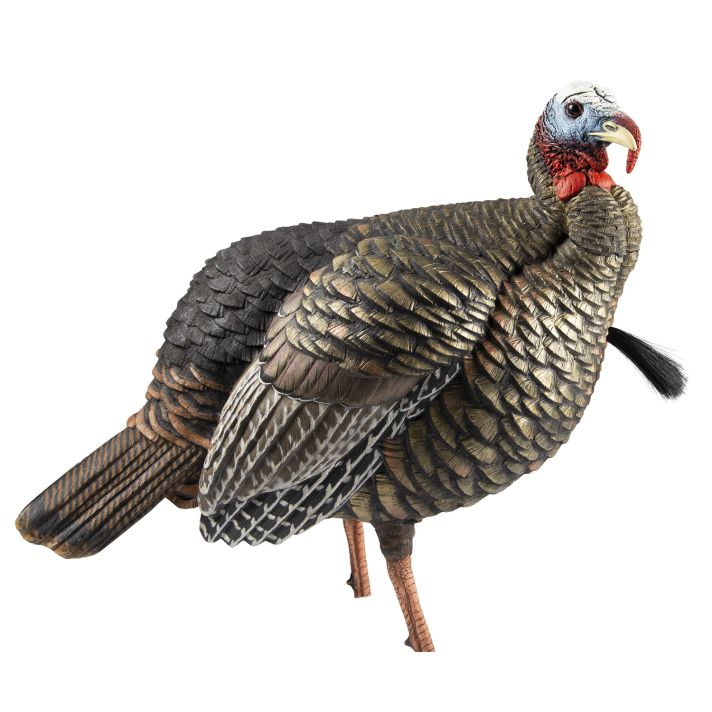 Avian X AVXAVX8105 HDR Jake Turkey Decoy Multi Color