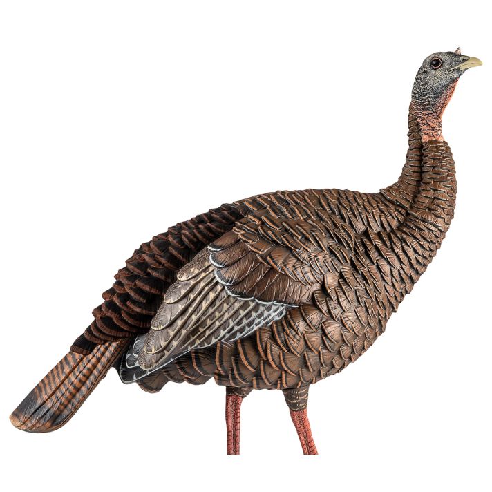 Avian X AVXAVX8106 HDR Hen Turkey Species Multi Color