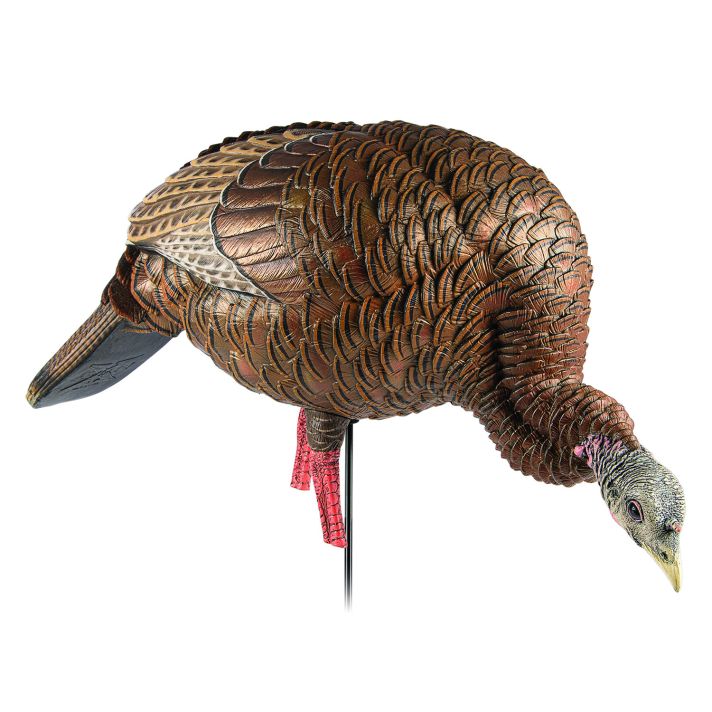 Avian X AVXAVX8107 HDR Feeder Hen Turkey Species Multi-Color