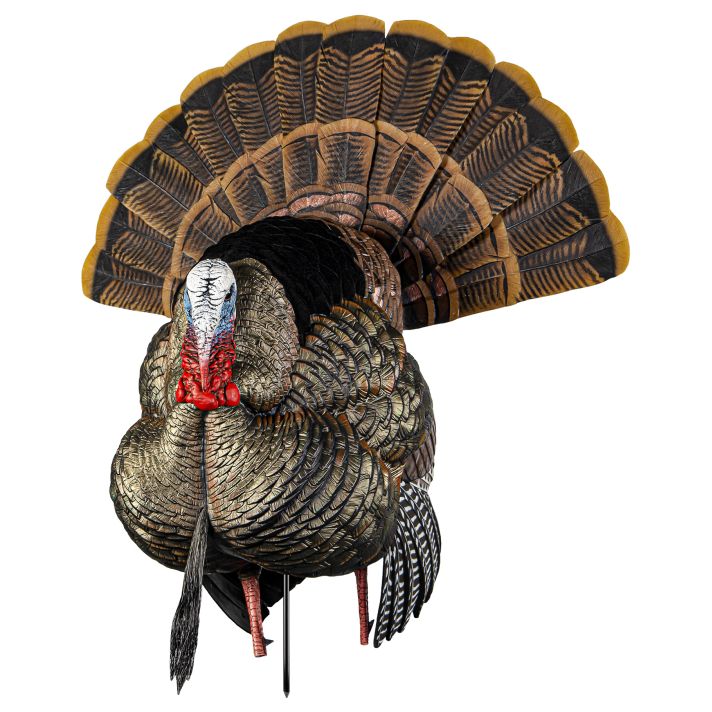 Avian X AVXAVX8108 HDR Strutter Turkey Species Multi Color