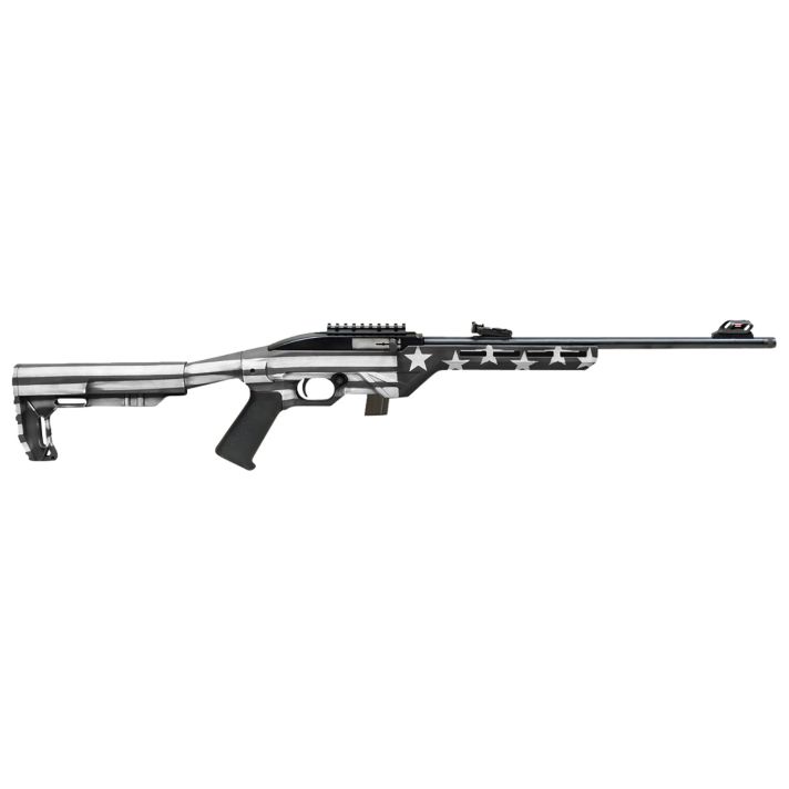 Citadel CIT22LRBUSG Trakr22 LR 10+1 18" Blued Steel Threaded Barrel & Receiver, Gray Flag Synthetic Stock