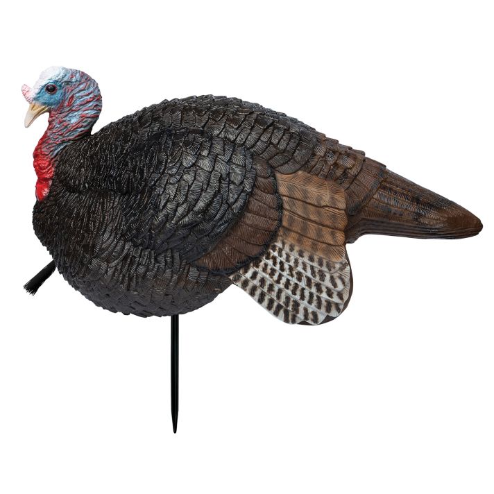 Primos 69074 Lil' Gobstopper Jake Turkey Species Multi Color