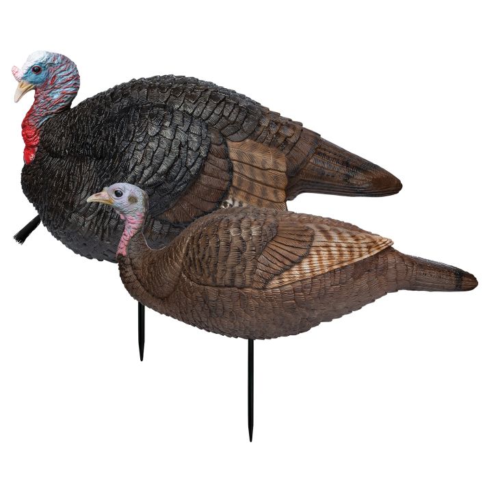 Primos 69075 Lil' Gobblestopper Jake & Hen Combo Turkey Species Multi Color