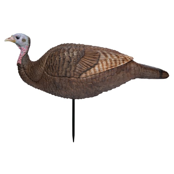Primos 69073 Lil Gobstopper Hen Turkey Species Multi Color