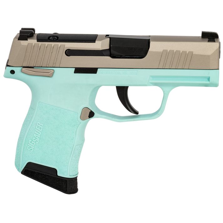SIG 365380REBMS P365 380 XR3MS 3.1 10R TRQ