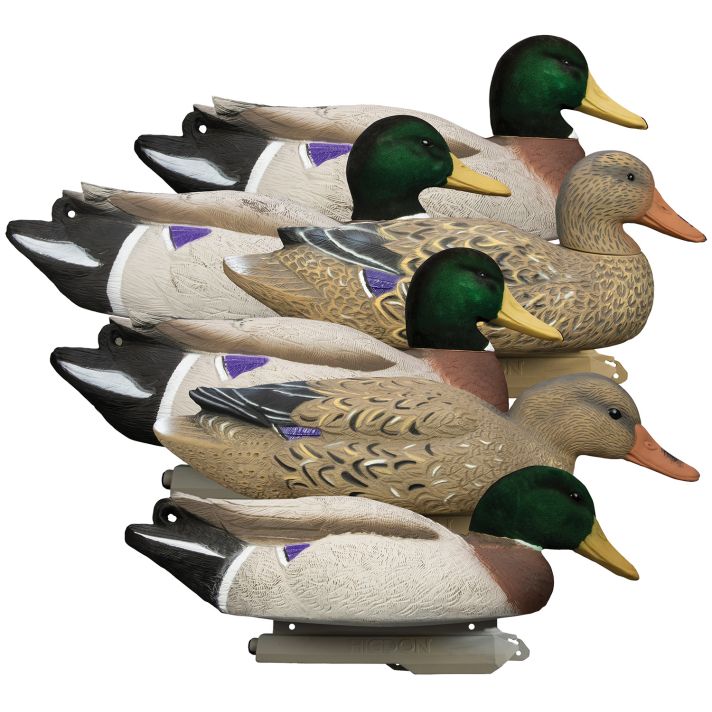 Higdon Outdoors 16034 BattleshipOversized Mallards Species Multi Color Foam Filled Features Flocked Heads 6 Pack