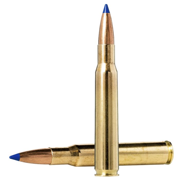 Norma Ammunition 20176102 Dedicated Hunting Bondstrike 300RUM 180gr Bonded Polymer Tip 20 Per Box/10 Case