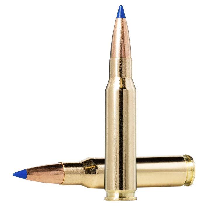 Norma Ammunition 20176412 Dedicated Hunting Bondstrike 308Win 180gr Bonded Polymer Tip 20 Per Box/10 Case