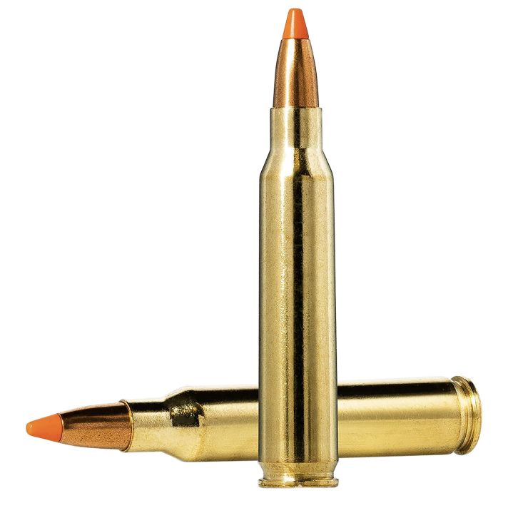 Norma Ammunition 20157352 Dedicated Hunting Varmint 223Rem 55gr Polymer Tip 20 Per Box/10 Case