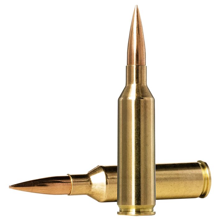 Norma Ammunition 10166462 Dedicated Precision Golden Target Match 6.5PRC 143gr Hollow Point Boat Tail 20 Per Box/10 Case