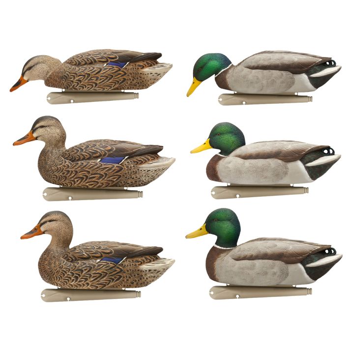 Avian X AVXAVX8076 Topflight Fusion Mallards Multi-Color -6 Pack