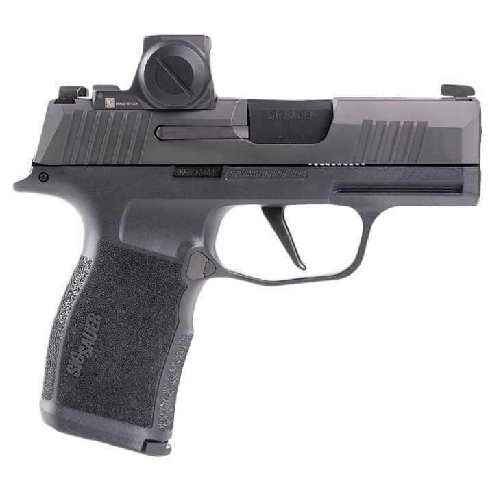 SIG 365X9BXR3RXX10P365 9MM3.1 OR 10R BLK