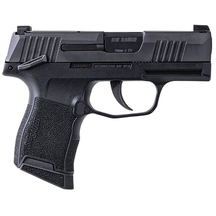 SIG 3659BXR3PMSMA*MA*P365 9MM 3.1 OR (2)10R MS BLK