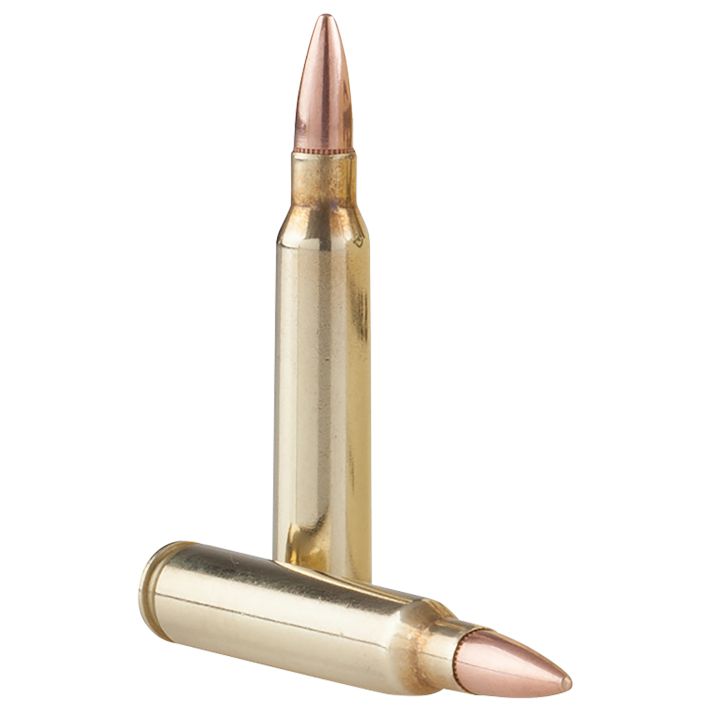 TR&Z PPRM5561PRange Master 5.56x45mm NATO 55 gr Full Metal Jacket Boat Tail 125 Per Box/ 4 Case