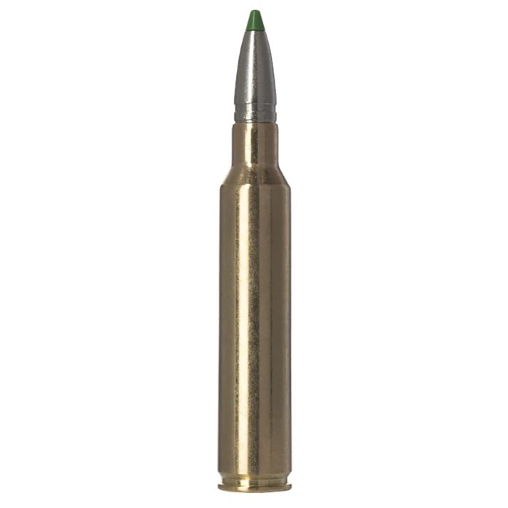 Norma Ammunition 20177772Ecostrike 300PRC 165gr 20 Per Box/10 Case