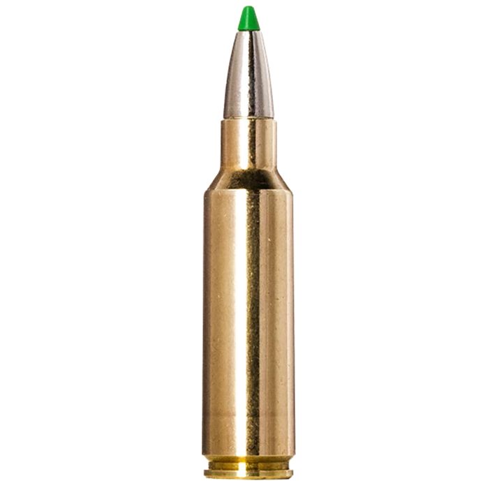 Norma Ammunition 20177512Ecostrike 300WSM 165gr 20 Per Box/10 Case