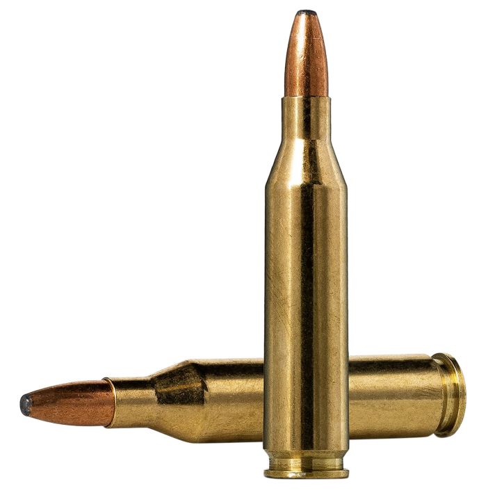 Norma Ammunition 20160332 Oryx243Win 100gr 20 Per Box/10 Case