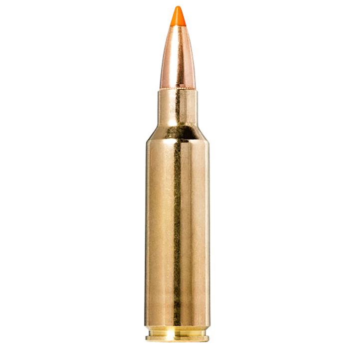 Norma Ammunition 20174022Tipstrike 300WSM 170gr 20 Per Box/10 Case