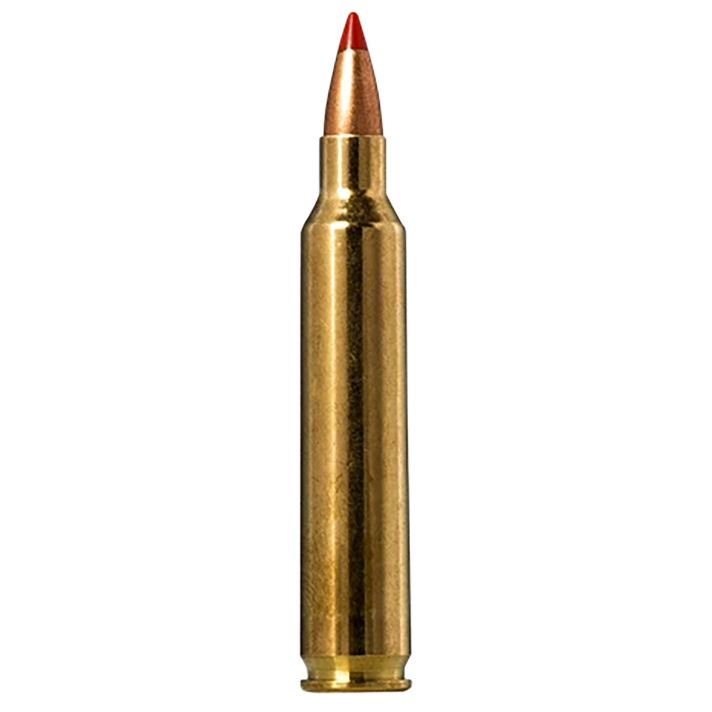 Norma Ammunition 20156502Tipstrike 204Ruger 40gr V-Max 20 Per Box/10 Case