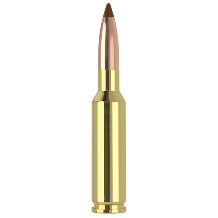 Nosler 61053 6.5x55Swedish 140gr Ballistic Tip 20 Per Box/10 Case