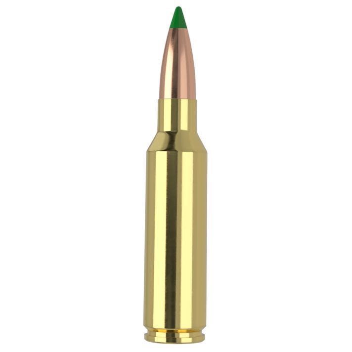 Nosler 61035 300WSM 165gr Ballistic Tip 20 Per Box/10 Case