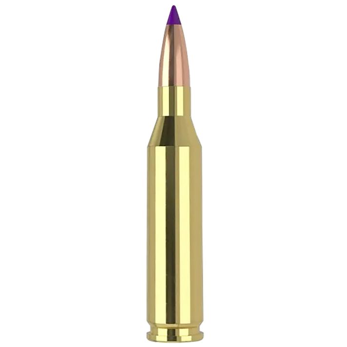 Nosler 40041 243Win 70gr Ballistic Tip Varmint 20 Per Box/10 Case