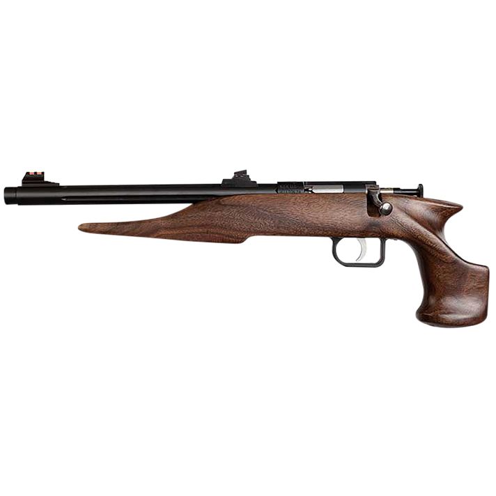 Chipmunk 40001 HunterYouth Frame 22 S/L/LR Single Shot 9" Threaded Blued Steel Barrel, Walnut Frame, EZ Loader