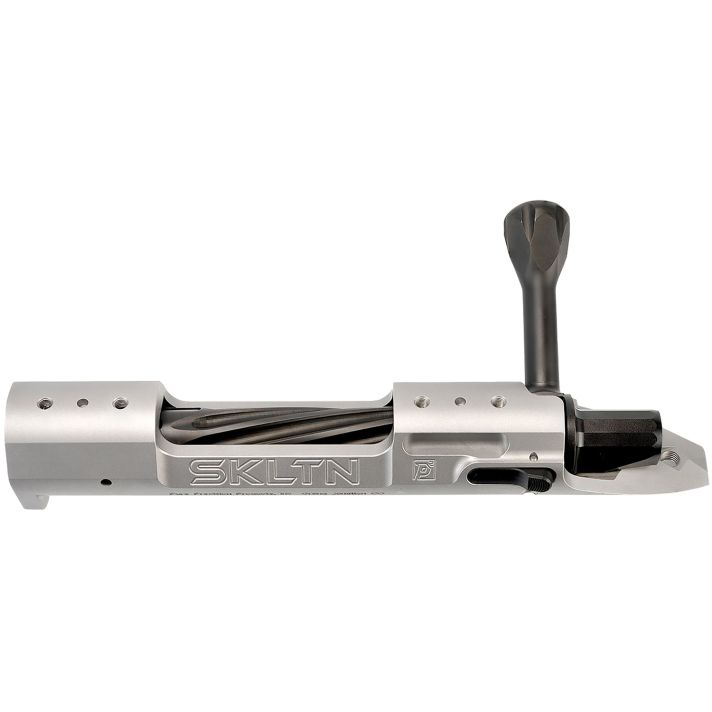 P2 IN-00285 SKLTN LA LH STANDARD TI