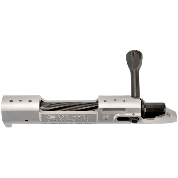 P2 IN-00287 SKLTN SKLTN SA RH STANDARD TI