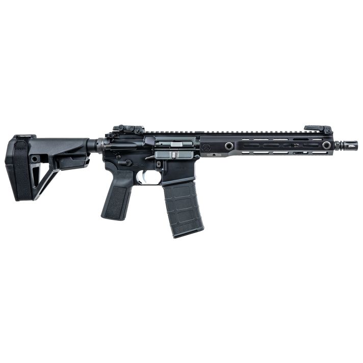 Watchtower Firearms RDR55611BLK Raider5.56 NATO 30+1 B5 Grip Black