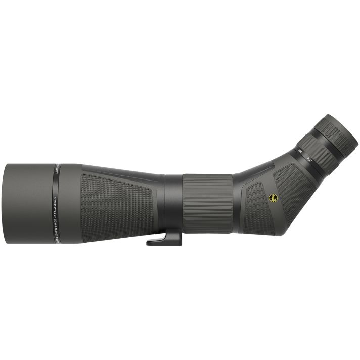 Leupold 185679 SX-4 Pro Guide HD G2 Angled Body 20-60x 85mm Black