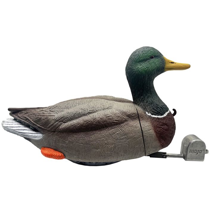 MOJO HW2554 DABBLER DUCK