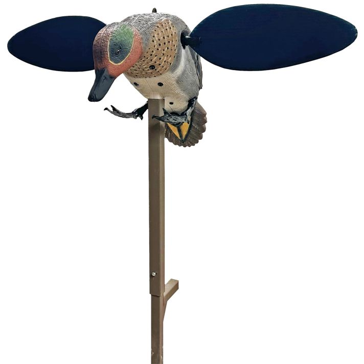 MOJO HW2555 GREEN WING