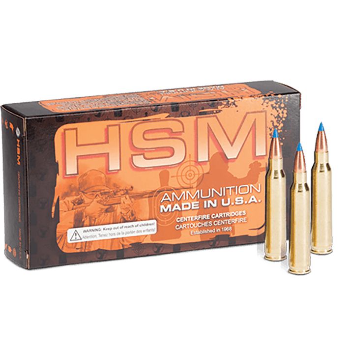 HSM 204R3N 204Ruger 32gr BlitzKing 20 Per Box/20 Case