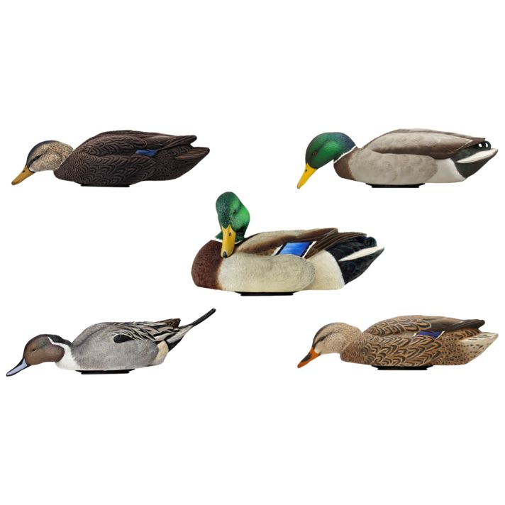 Avian X AVX-PSW-MDLH Power SwimmerMallards Multi-Color