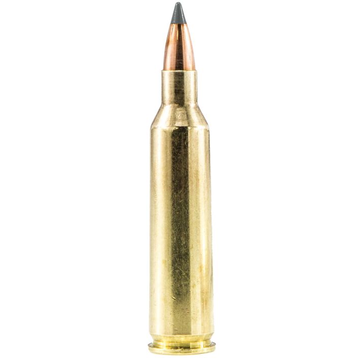 Sig Sauer E223V120 Elite Hunting Varmint & Predator 223Rem 40gr Extreme Expansion Tip 20 Per Box/10 Case