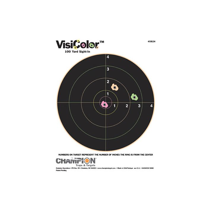 Champion Targets 45824 VisiColorBullseye Paper Hanging Pistol/Rifle 8.50" x 11" Multi-Color Includes Pasters 10 Pack